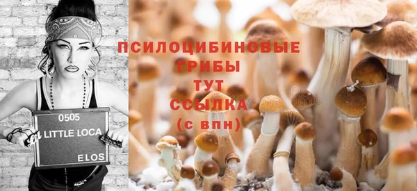дурь Белоозёрский